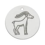 MI HISTORIA - ABALORIO PLATA 925MM HOROSCOPO CAPRICORNIO