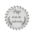 MI HISTORIA - ABALORIO PROFE MATRICULA PLATA 925MM